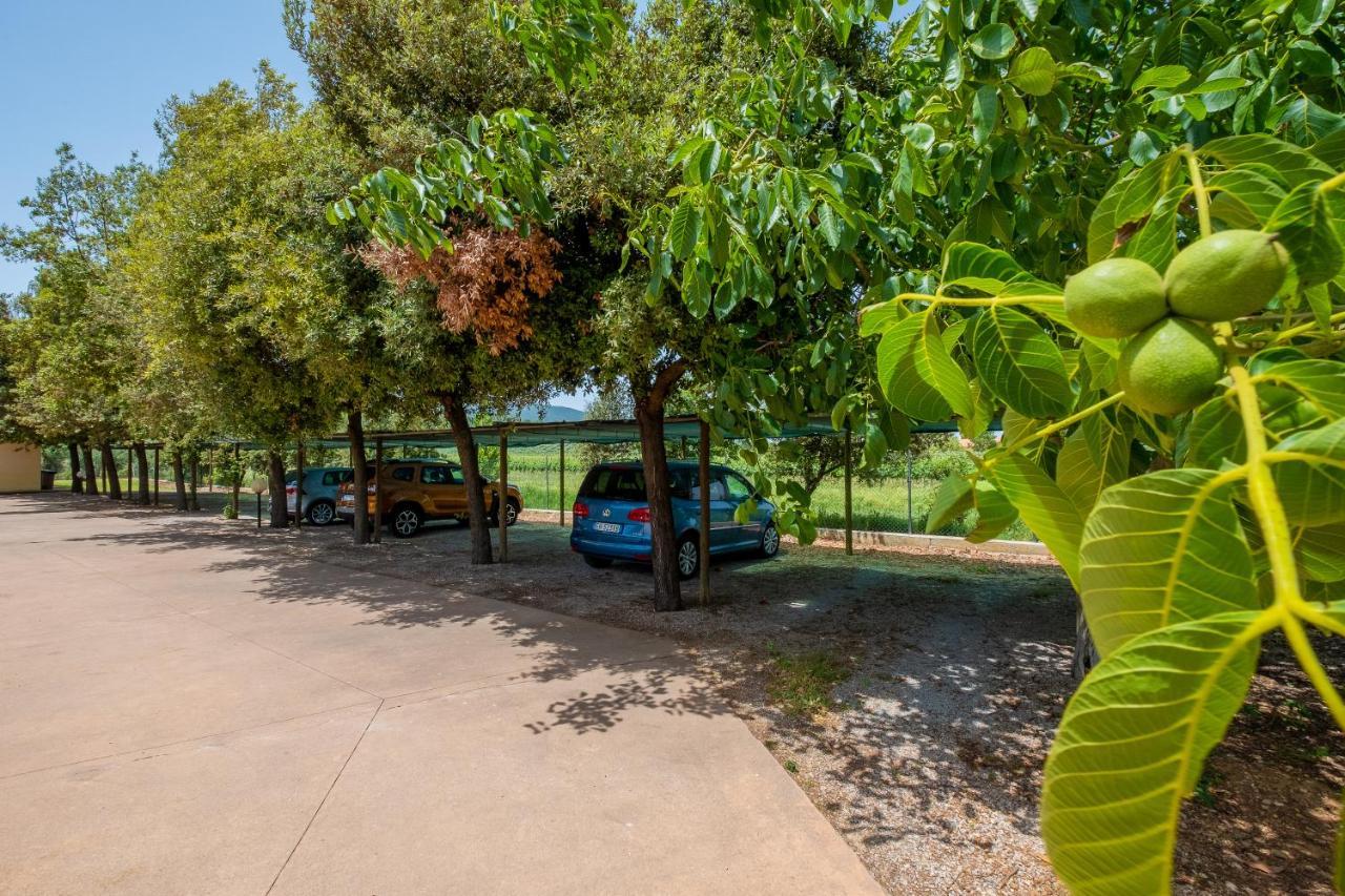 Agriturismo La Fata Grosseto Exteriér fotografie